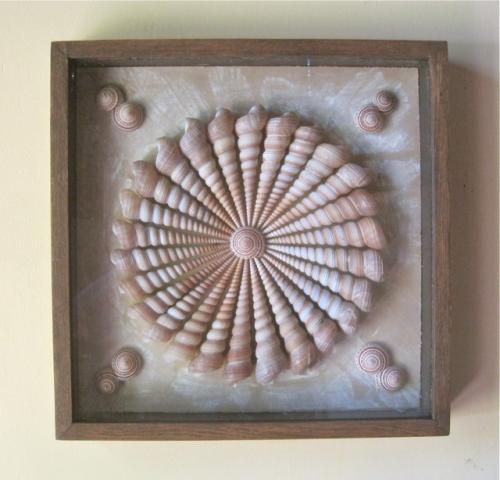 Turitella Spiral, sundials, light taupe, 16"x16"