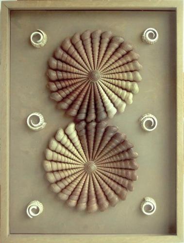 Turitella Spirals, with cut white shells, light brown, 18"x28"