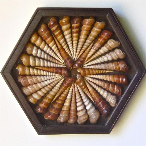 Turitella Mandala , hexagon, dark brown, 15"x18"