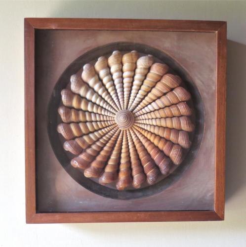 Turitella Spiral, inset, brown, 16"x16"