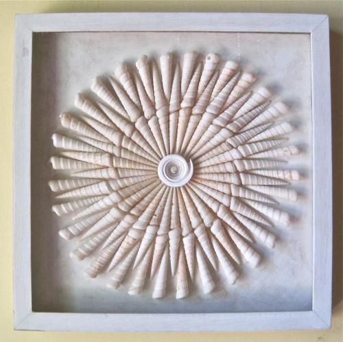 Mandala, white auger shells, 16"x16", custom